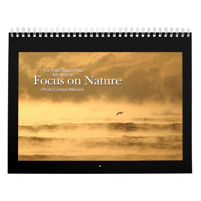 12-month winners calendar (Cover)