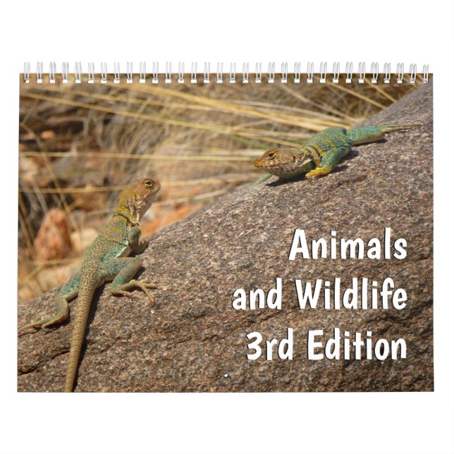 12 Months of Animals and Wildlife, 3rd Edition Calendar (Cover)