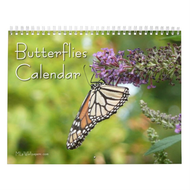 12 Months of Beautiful Butterflies Calendar (Cover)