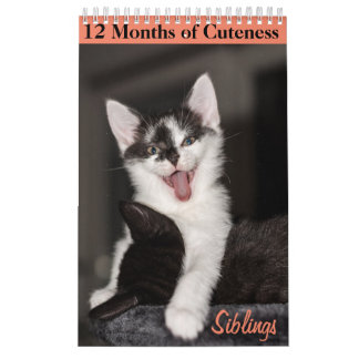 12 Months of Cuteness Kittens Siblings Calendar