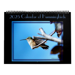 12 months of hummingbirds calendar. calendar