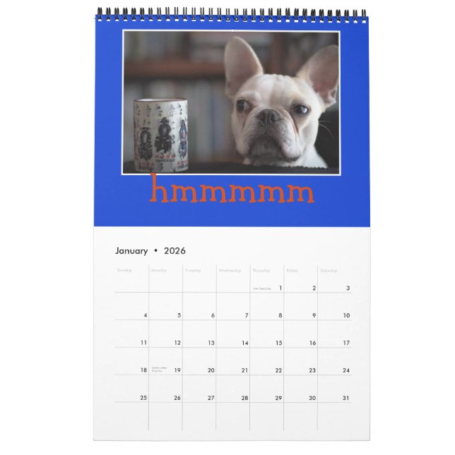 12 Months of Mr. K, Adorable Frenchie Calendar!! Calendar (Jan 2026)