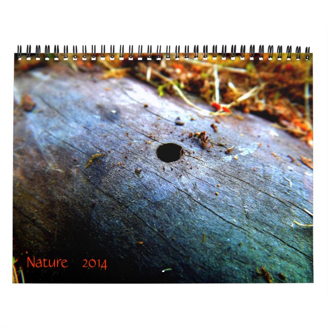 12 Months of Nature Calendar (Cover)