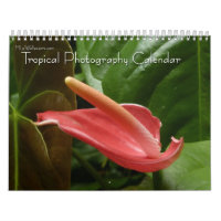 12 Months of Tropical Photography, 4th Edition