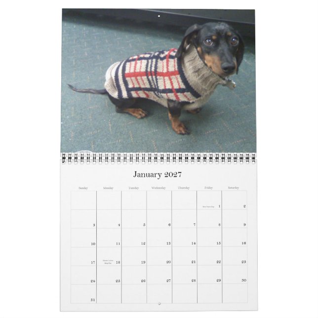 12 months with the tootise dog calendar (Jan 2027)