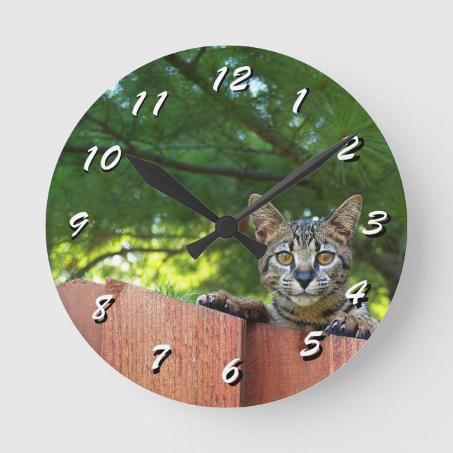 12 Nombre de choix à choisir : horloge de chat (Recto)