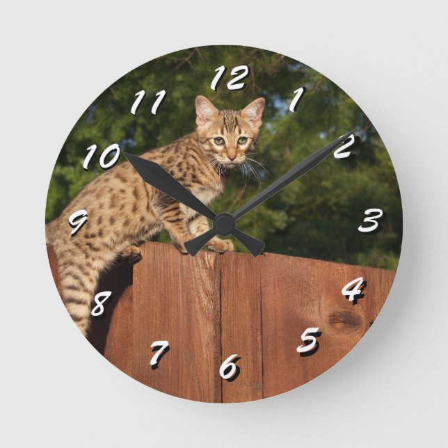 12 Number Choices to Choose --Cat Clock (Front)