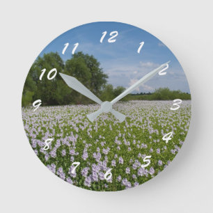 12 Number Choices to Choose From Scenic Clock