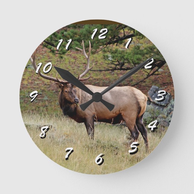 12 Number Choices to Choose --Wild Elk Clock (Front)