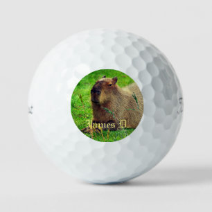 12 Pack- Fun Personalized Capybara Animal Golf Balls