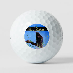 (12 Pack) Wildlife Raven Bird Personalized Golf Balls