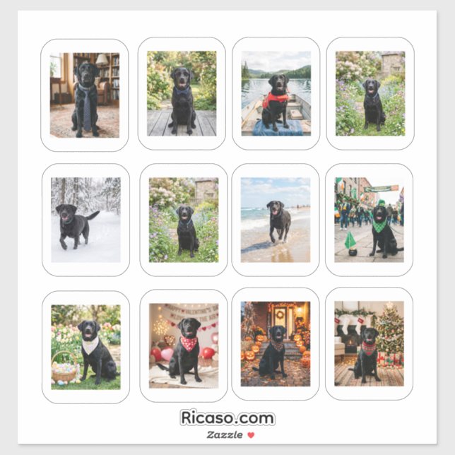 12 Personalized Photo With White Frame (Sheet)