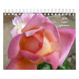 12 step calendar