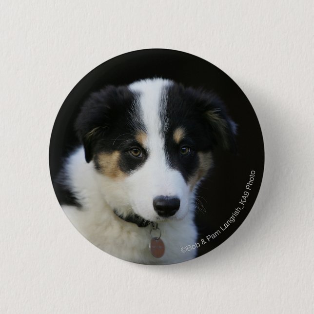 12 Week Old Border Collie Puppy 2 Inch Round Button (Front)