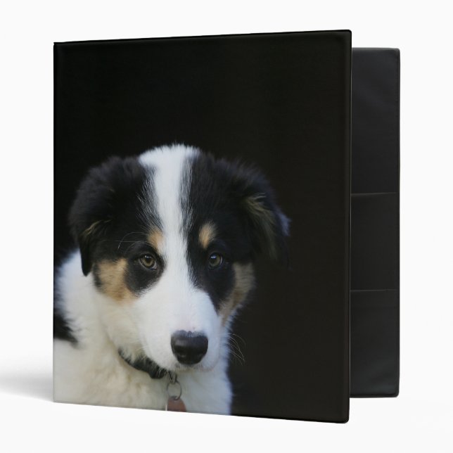 12 Week Old Border Collie Puppy Binder (Front/Inside)
