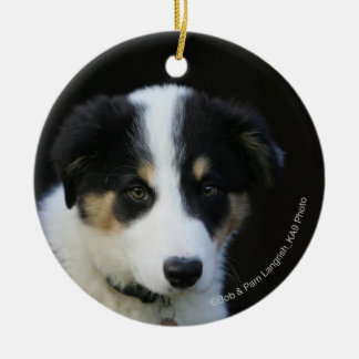 12 Week Old Border Collie Puppy Ceramic Ornament