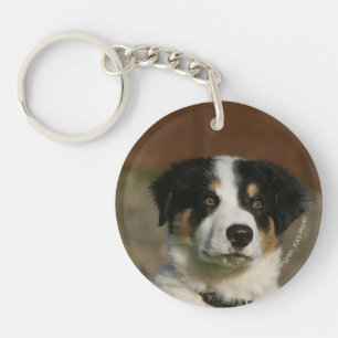 12 Week Old Border Collie Puppy Headshot Keychain