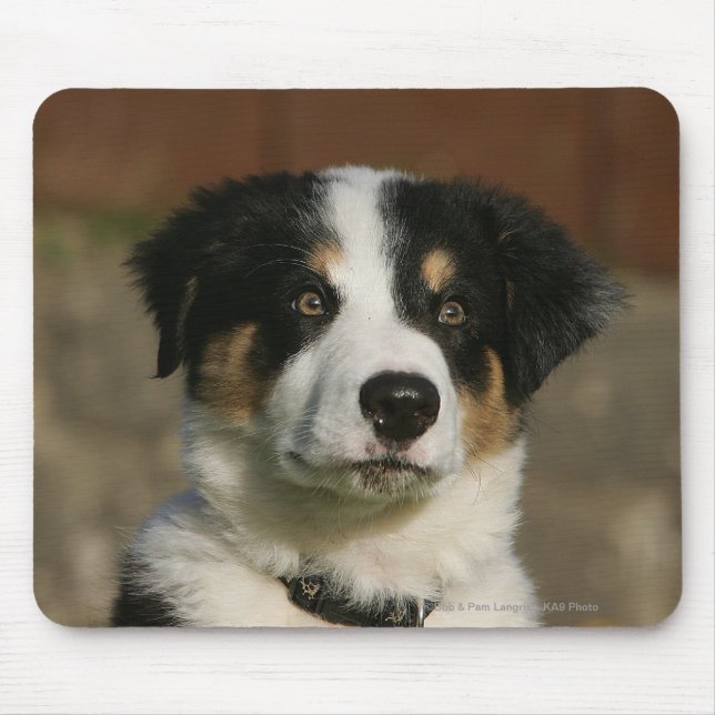 12 Week Old Border Collie Puppy Headshot Mouse Pad (Front)