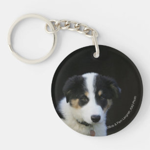 12 Week Old Border Collie Puppy Keychain
