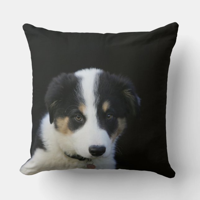 12 Week Old Border Collie Puppy Throw Pillow (Front)