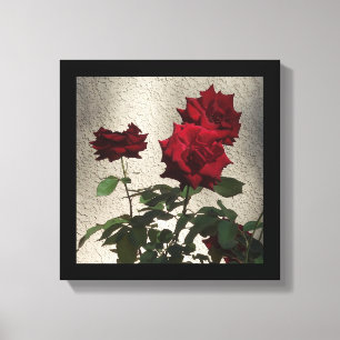 12" x 12" Red Roses on White Stucco Photo Canvas Print