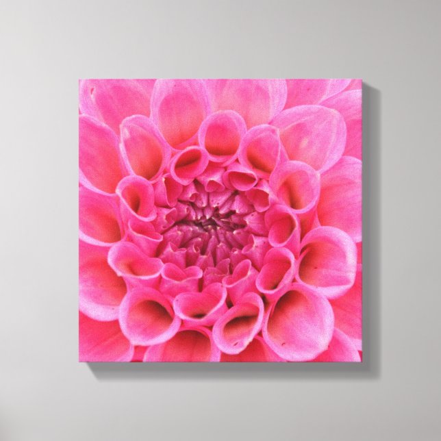 12" x 12" Wrapped Canvas - Pink Flower (Front)