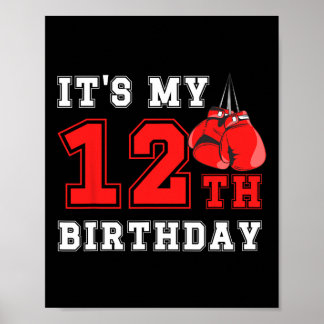 12th Boxing Birthday Party Twelve Year Old Boxer B Poster
