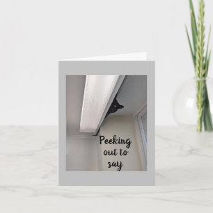 *12th* FROM A CUTE HIDING KITTEN JUST FOR YOU Card