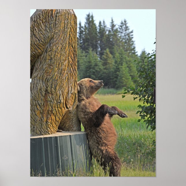 12x16 Poster de l'ours grizzli (Devant)