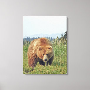 12x24 Wrapped Canvas (Gloss) w/ grizzly bear