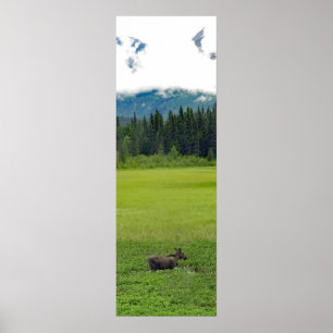 12x36  Poster Paper (Matte) of moose