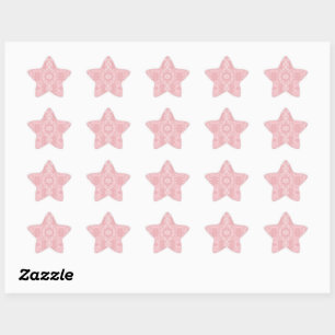 130.JPG STAR STICKER
