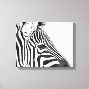 1318-Zebra Canvas Print