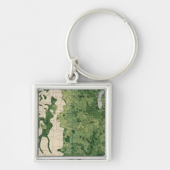 134 Value farm products 1900 Keychain (Front)