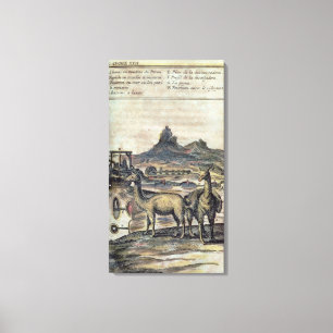 137-0627924 Illustration from a history of Peru sh Canvas Print