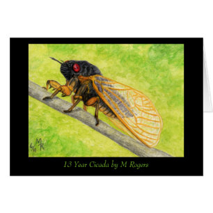13 ans de peinture canadienne