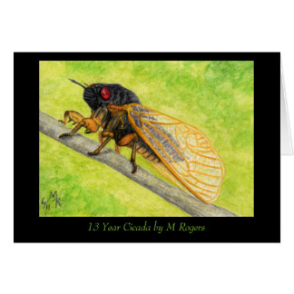 13 ans de peinture canadienne