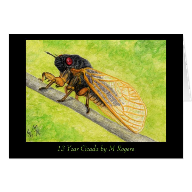 13 ans de peinture canadienne (Devant horizontal)