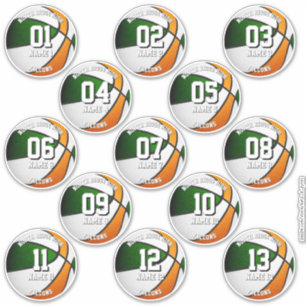 13 basketball stickers green orange team colors