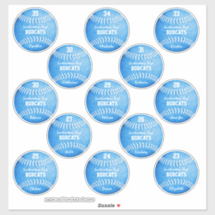 13 custom players' names blue softballs
