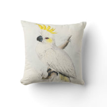 #13-Lesser sulphur-crested cockatoo