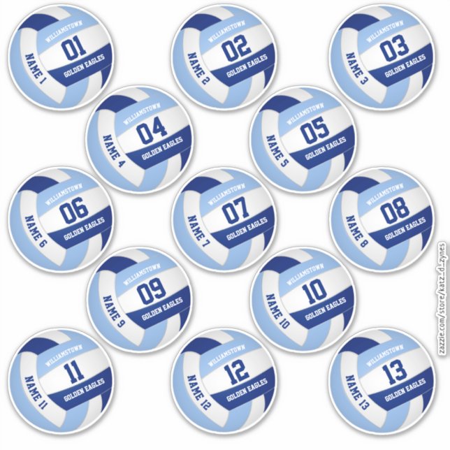13 piece players' names blue white volleyball (Front)