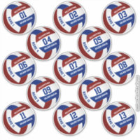 13 piece players' names maroon blue volleyball