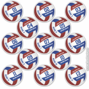 13 piece players' names maroon blue volleyball