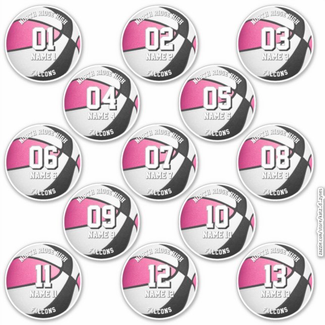 13 pink black team colors basketball stickers (Devant)