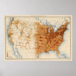 13 Population 1900 Poster