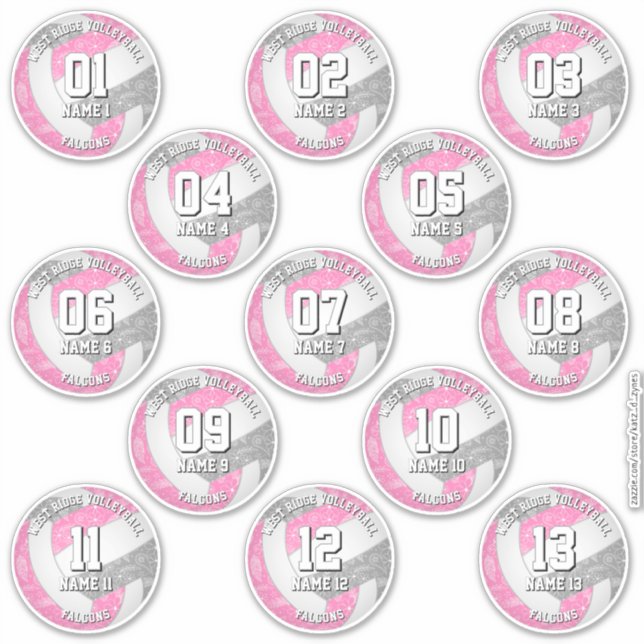 13 volleyball players boho paisleys pink grey (Front)