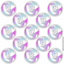 13 volleyball players pink purple blue