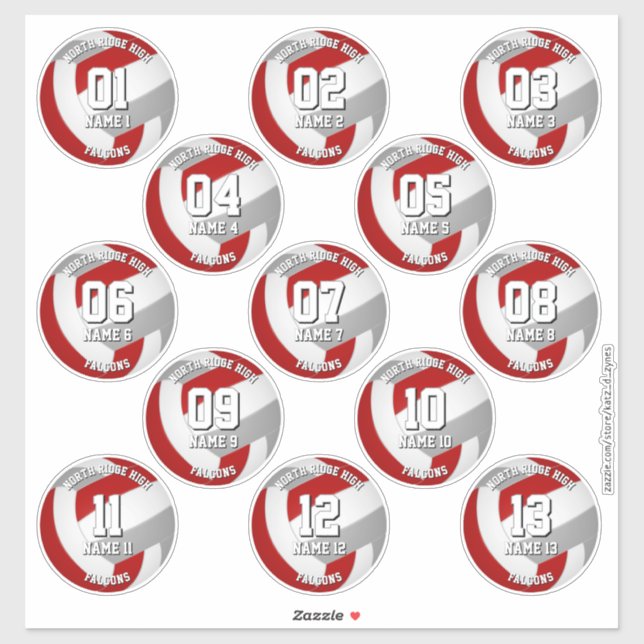 13 volleyball players red grey team colours (Sheet)
