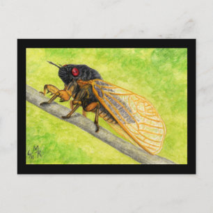13 Year Cicada Painting Postcard